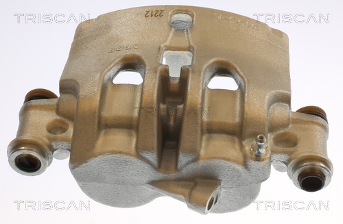 TRISCAN 8175 14121 Bremssattel