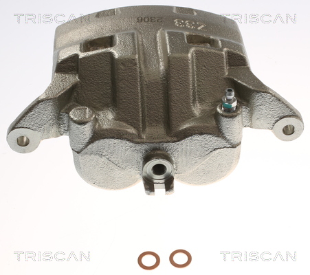 TRISCAN 8175 14123 Bremssattel