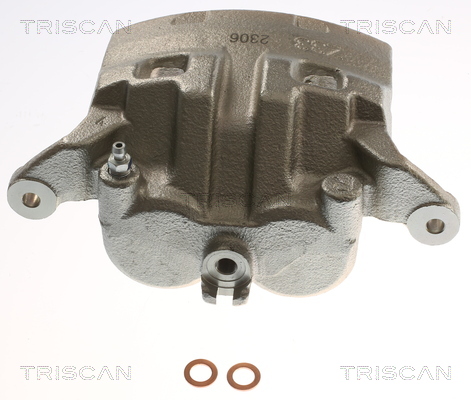 TRISCAN 8175 14124 Bremssattel