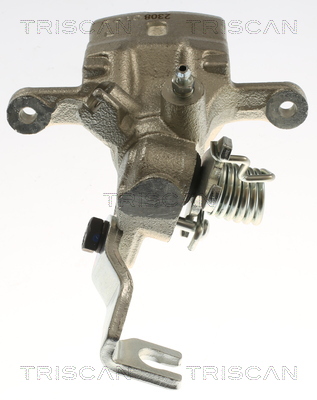 TRISCAN 8175 14205 Bremssattel
