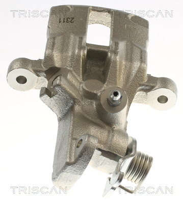 TRISCAN 8175 14207 Bremssattel