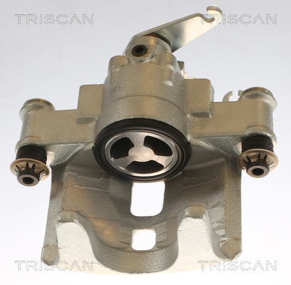 TRISCAN 8175 15205 Bremssattel