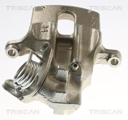 TRISCAN 8175 15209 Bremssattel