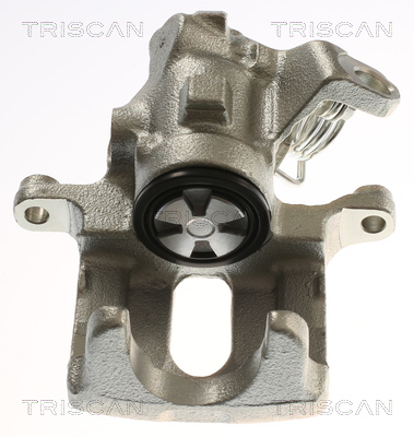 TRISCAN 8175 15210 Bremssattel