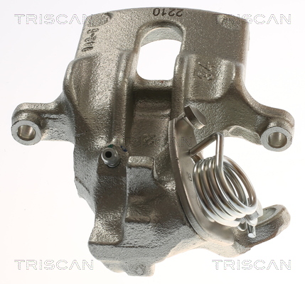 TRISCAN 8175 15210 Bremssattel
