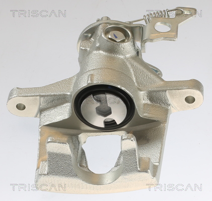 TRISCAN 8175 16101 Bremssattel