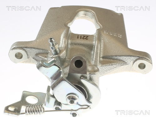 TRISCAN 8175 16102 Bremssattel