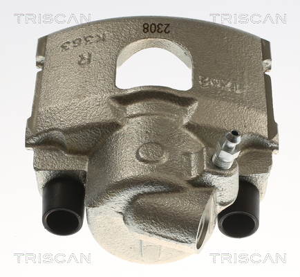 TRISCAN 8175 16106 Bremssattel