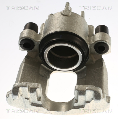 TRISCAN 8175 16111 Bremssattel