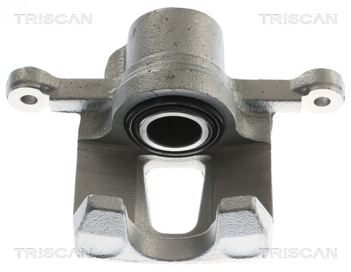 TRISCAN 8175 16118 Bremssattel