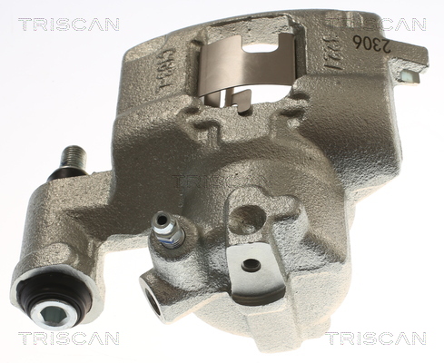 TRISCAN 8175 16121 Bremssattel