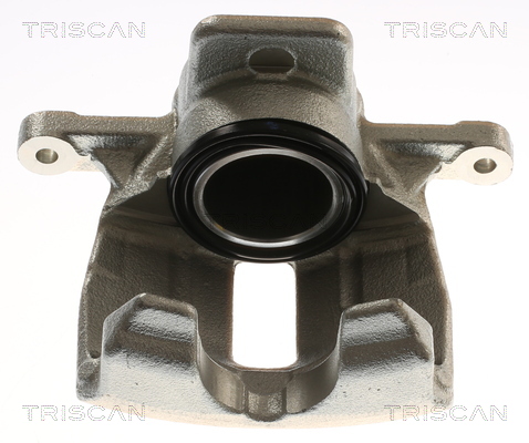 TRISCAN 8175 16124 Bremssattel