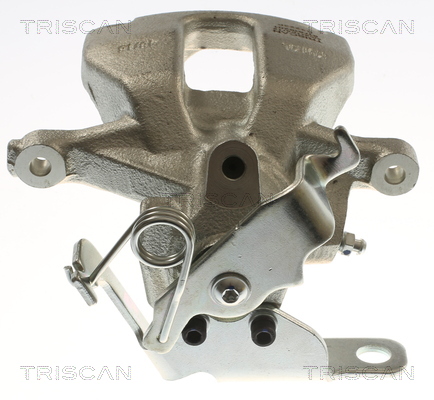 TRISCAN 8175 16201 Bremssattel