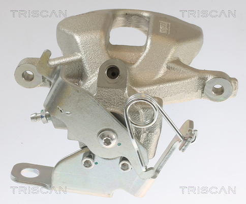 TRISCAN 8175 16202 Bremssattel