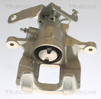 TRISCAN 8175 16206 Bremssattel
