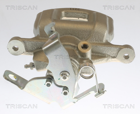 TRISCAN 8175 16206 Bremssattel
