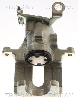 TRISCAN 8175 16207 Bremssattel