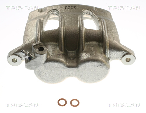 TRISCAN 8175 16209 Bremssattel