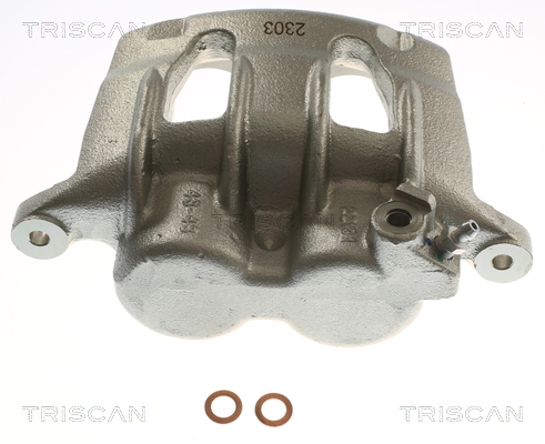 TRISCAN 8175 16210 Bremssattel
