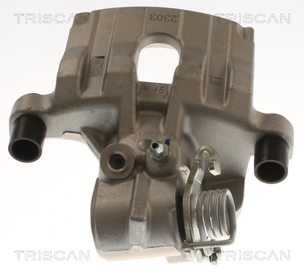 TRISCAN 8175 16213 Bremssattel