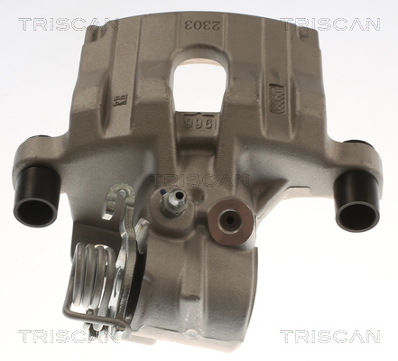 TRISCAN 8175 16214 Bremssattel