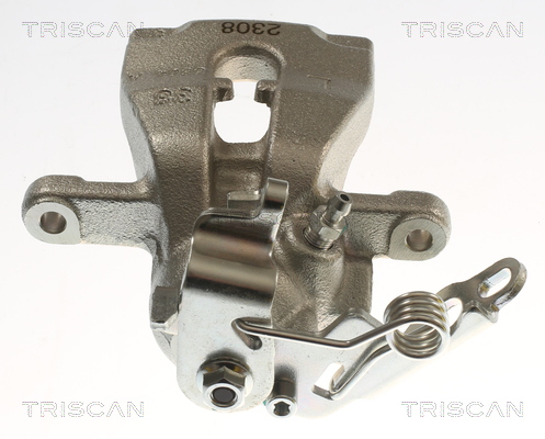 TRISCAN 8175 16216 Bremssattel