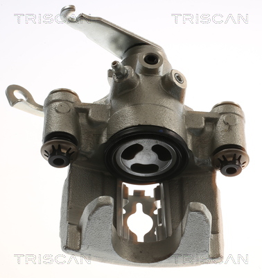 TRISCAN 8175 16219 Bremssattel