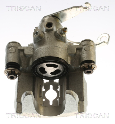 TRISCAN 8175 16220 Bremssattel