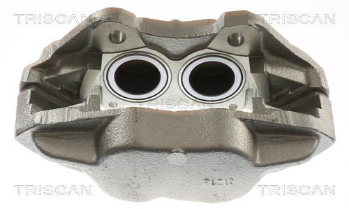 TRISCAN 8175 17101 Bremssattel