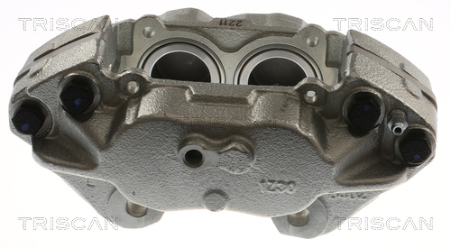 TRISCAN 8175 17101 Bremssattel