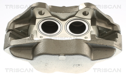 TRISCAN 8175 17102 Bremssattel