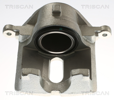 TRISCAN 8175 17103 Bremssattel