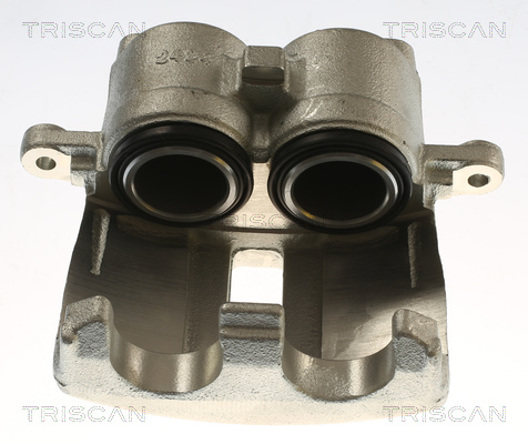 TRISCAN 8175 17105 Bremssattel