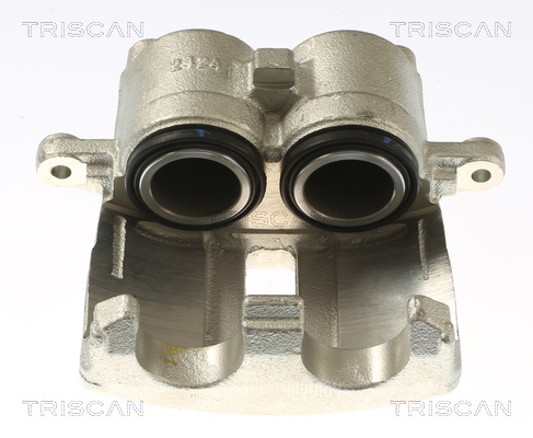 TRISCAN 8175 17106 Bremssattel
