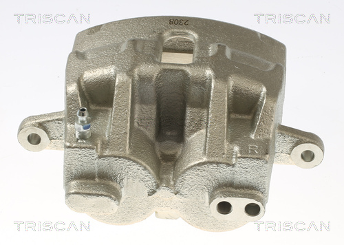 TRISCAN 8175 17106 Bremssattel