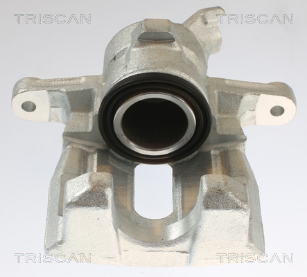 TRISCAN 8175 17202 Bremssattel