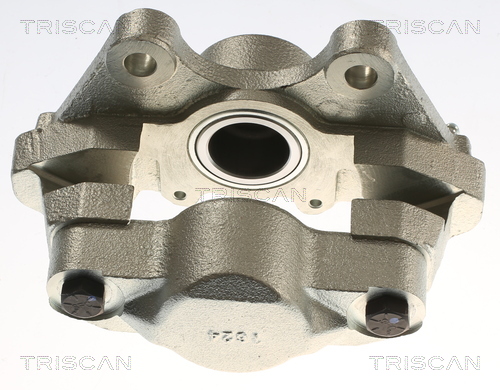 TRISCAN 8175 17205 Bremssattel