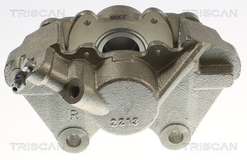 TRISCAN 8175 17206 Bremssattel