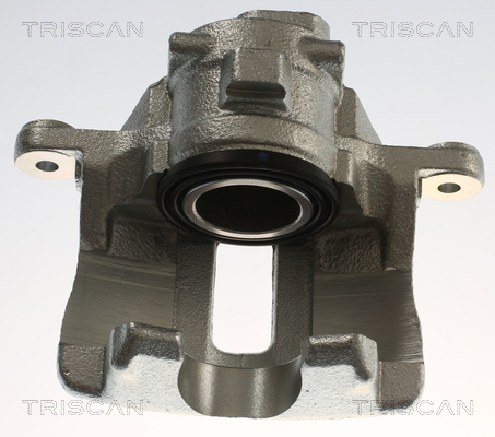 TRISCAN 8175 17208 Bremssattel