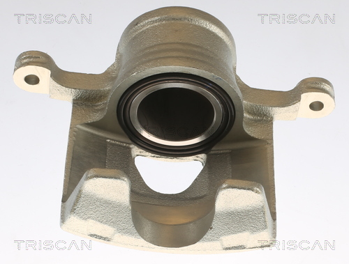 TRISCAN 8175 21101 Bremssattel