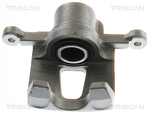TRISCAN 8175 21201 Bremssattel