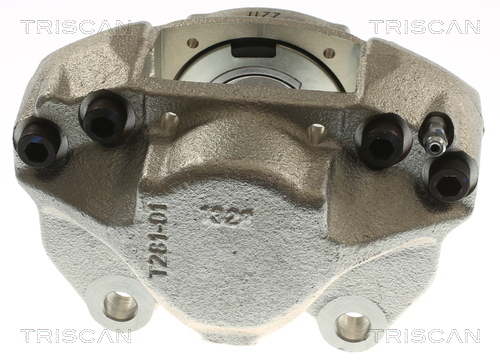 TRISCAN 8175 23106 Bremssattel