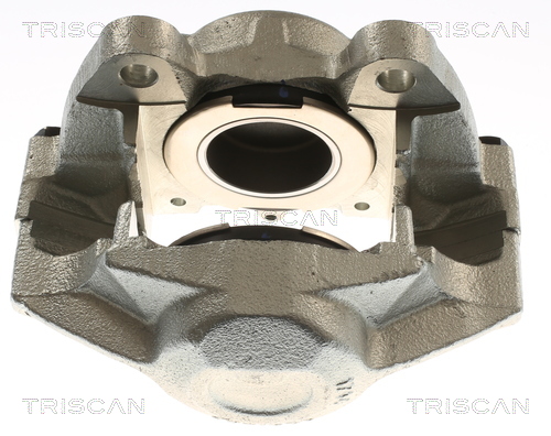 TRISCAN 8175 23110 Bremssattel
