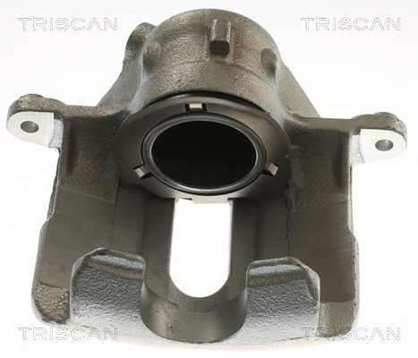 TRISCAN 8175 23122 Bremssattel