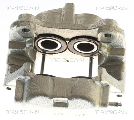TRISCAN 8175 23123 Bremssattel