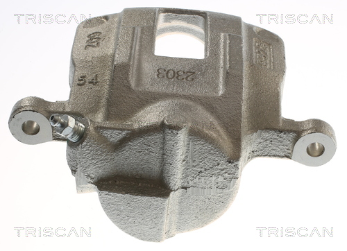 TRISCAN 8175 23134 Bremssattel