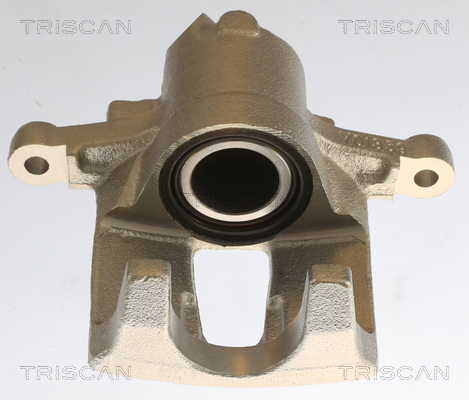 TRISCAN 8175 23202 Bremssattel