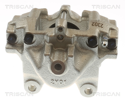 TRISCAN 8175 23207 Bremssattel