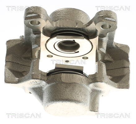 TRISCAN 8175 23222 Bremssattel