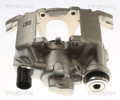 TRISCAN 8175 23226 Bremssattel